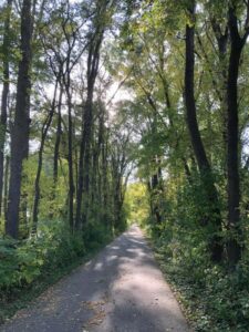 Walking Trail