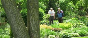 Enjoying the garden